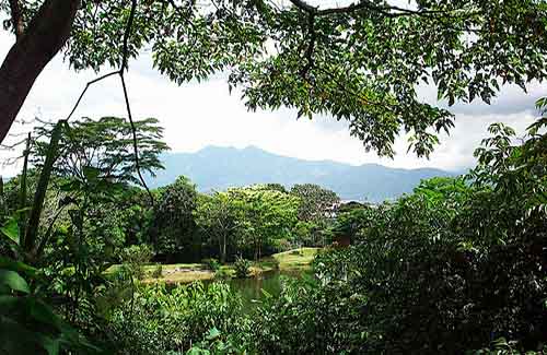 Costa Rica rainforest INBio