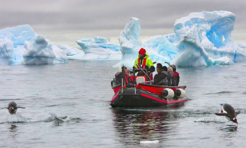 Antarctica Paradise Island penguins & cruise