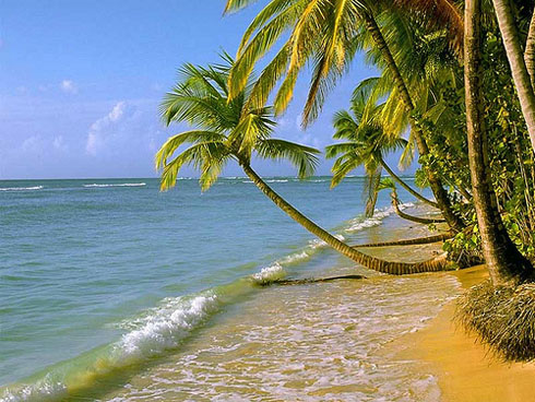 Cuba beach