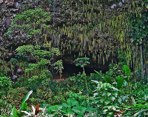 Fern Grotto - Wailua River Kauai