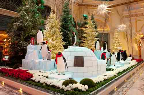 Holidays in Las Vegas - Bellagio Christmas