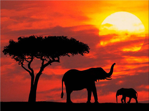 Kenya Safari Sunset