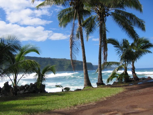 tropical maui hawaii beach