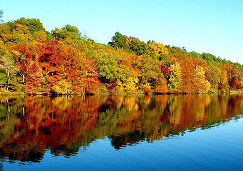 New England Fall foliage - changing colors