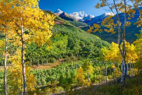 Rocky Mountains fallfoliage - Colorado