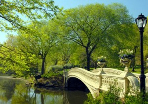 Experience the Full Story of Central Park: Official Central Park Tours
