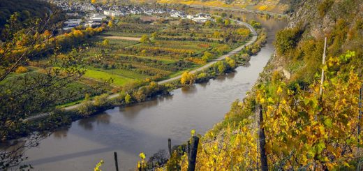 Moselle Germany vineyards